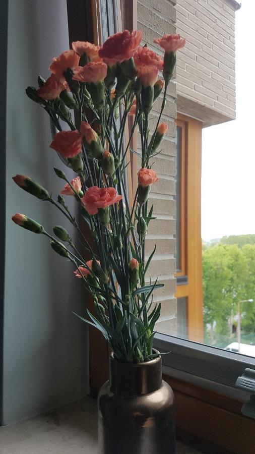 Apartament Apartament Rincon Verde Gdańsk Zewnętrze zdjęcie
